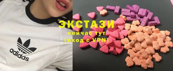 стаф Алзамай