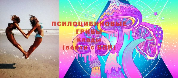стаф Алзамай