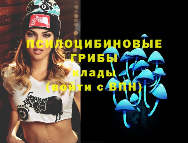 МДПВ Абаза
