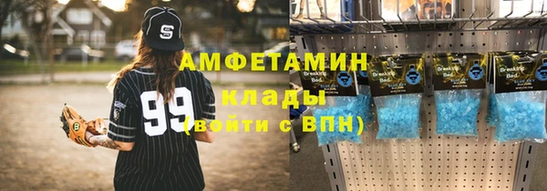 стаф Алзамай