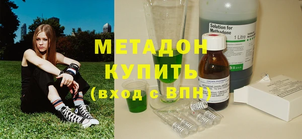 стаф Алзамай