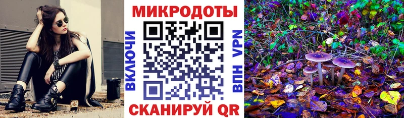 Галлюциногенные грибы Cubensis  Бавлы 